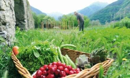 Να αυξήσει τις πιστώσεις για τη βιολογική καλλιέργεια στην Ανατολική Μακεδονία και τη Θράκη καλεί ο Περιφερειάρχης ΑΜΘ τον Υπουργό Αγροτικής Ανάπτυξης