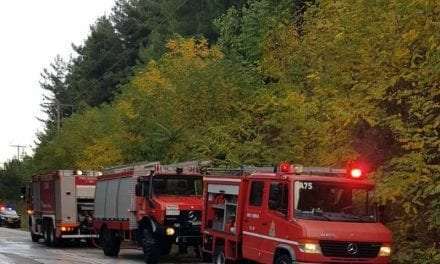 Αμεση επέμβαση της Πυροσβεστικής σε φωτιά στο περιαστικό δάσος <br> <span style='color:#777;font-size:16px;'>  Κάηκε μισό στρέμμα δάσους</span>