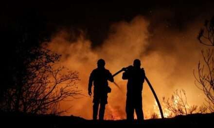 Κοινή Δήλωση βουλευτών του ΣΥΡΙΖΑ-ΠΣ : Ανεπαρκής η κυβέρνηση και στη διαχείριση της μεγάλης πυρκαγιάς στο Εθνικό Πάρκο Δαδιάς